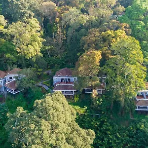 The Tall Trees 4*, Munnar India